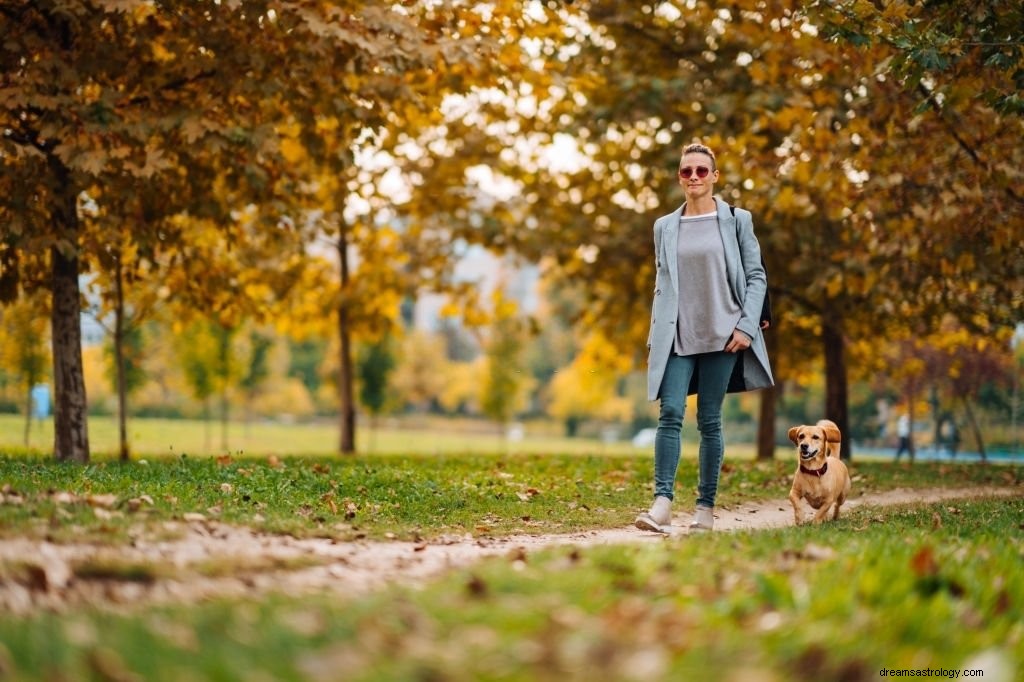 Brązowy pies – znaczenie i symbolika snu