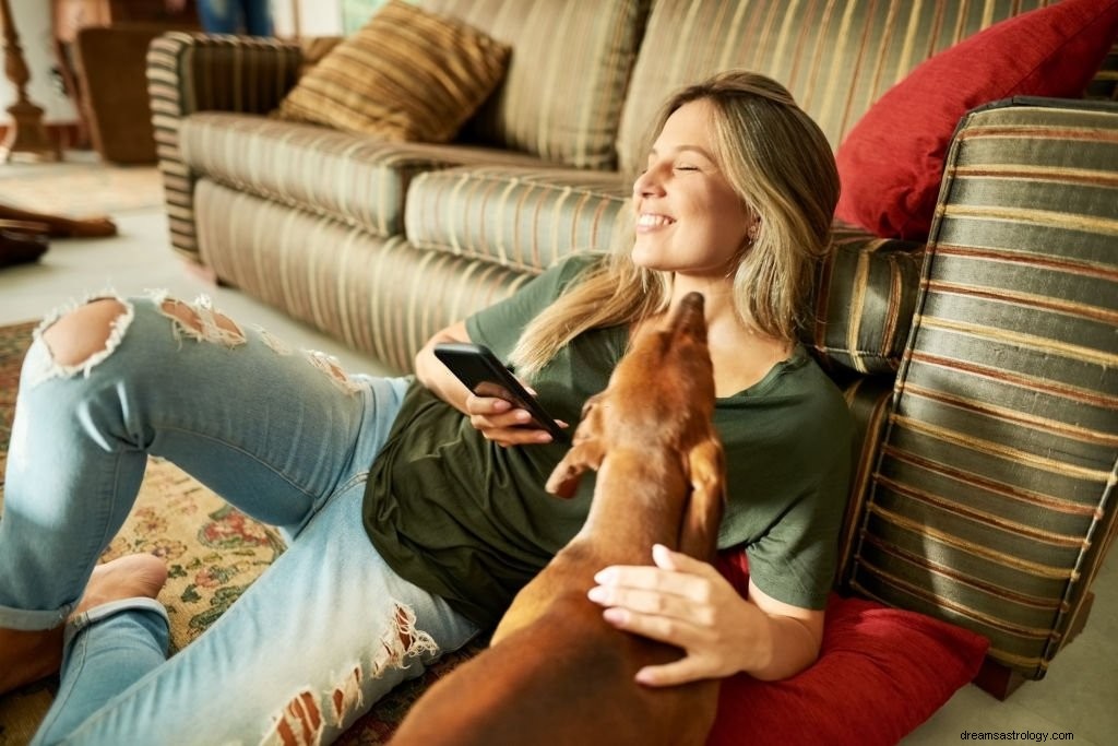 Cane marrone:significato e simbolismo del sogno