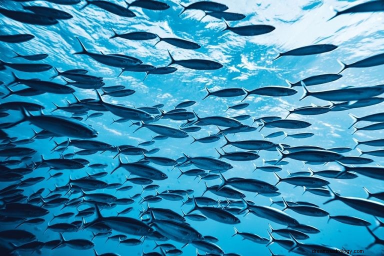 Mange fisk – drømmebetydning og symbolik