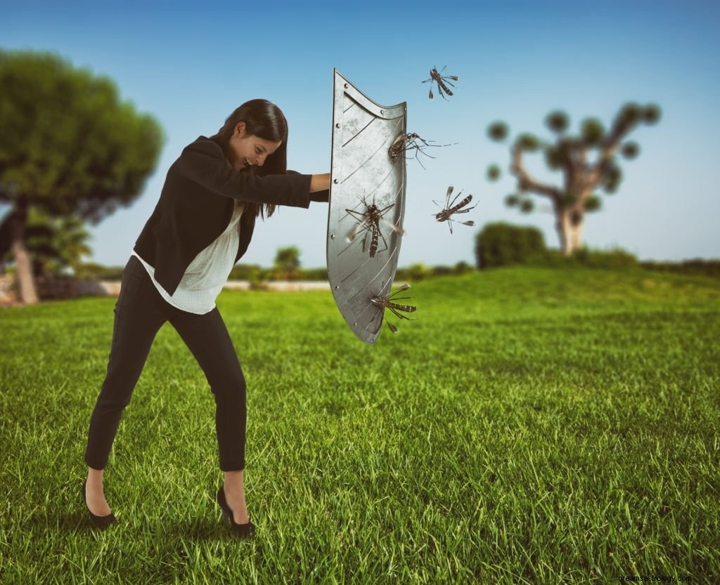 Insecten – Betekenis en symboliek van dromen