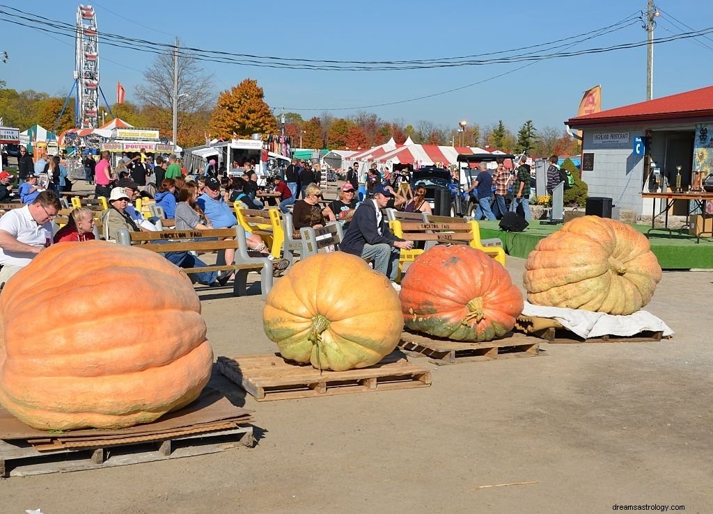 Calabaza – Significado y simbolismo de los sueños