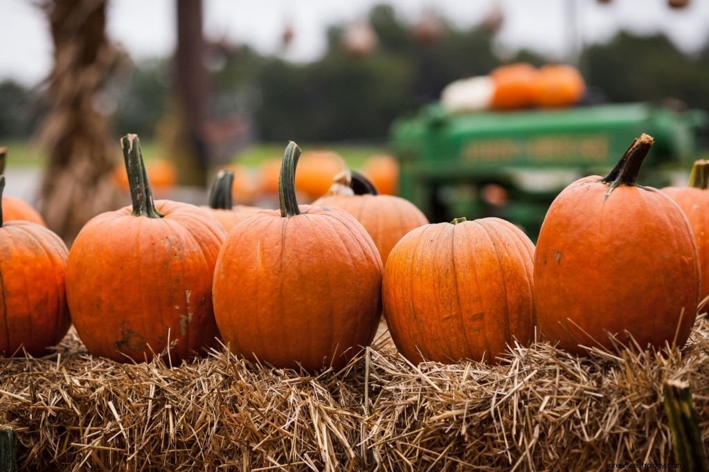 Calabaza – Significado y simbolismo de los sueños