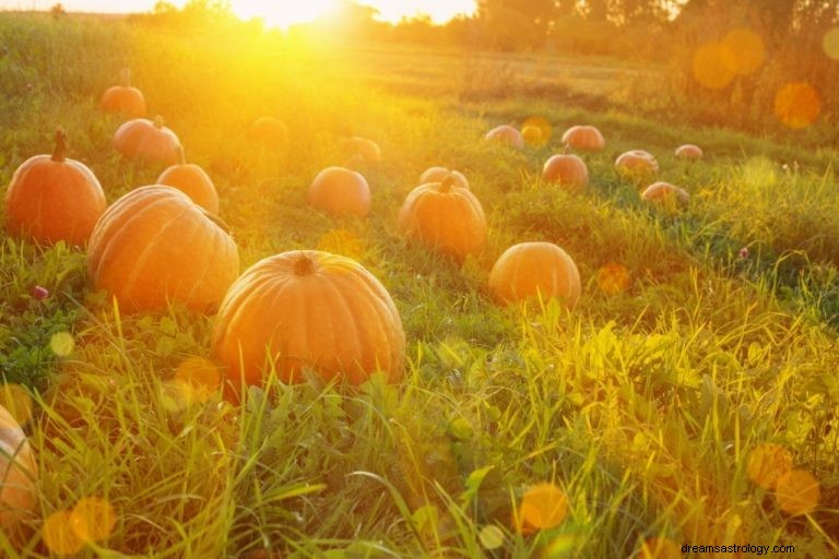 Calabaza – Significado y simbolismo de los sueños