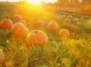 Gresskar – drømmebetydning og symbolikk