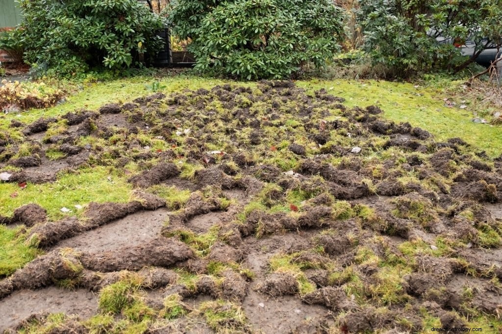 Tuin – Betekenis en symboliek van dromen