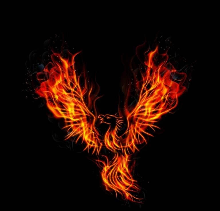 Phoenix – Droombetekenis en symboliek