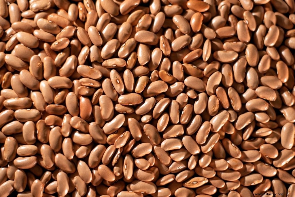 Kacang – Arti Mimpi dan Simbolisme