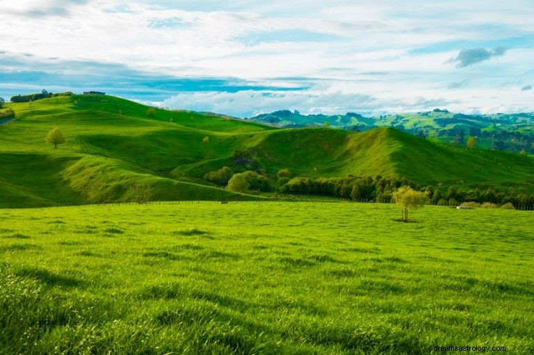 Hillside – Bedeutung und Symbolik von Träumen