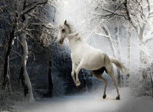 ¿Qué significa soñar con caballos?