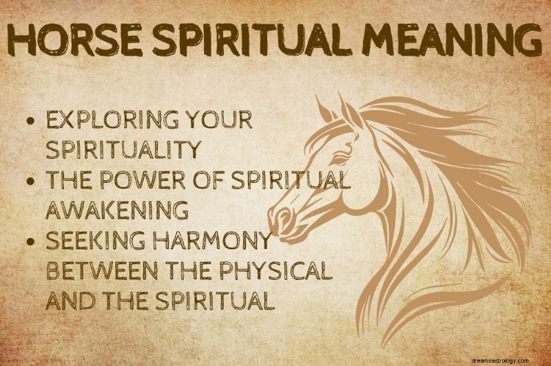 Horse Spirit Animal:Odhalení symbolické síly koní 