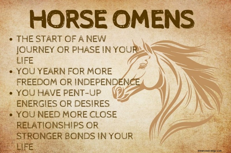 Horse Spirit Animal:Odhalení symbolické síly koní 