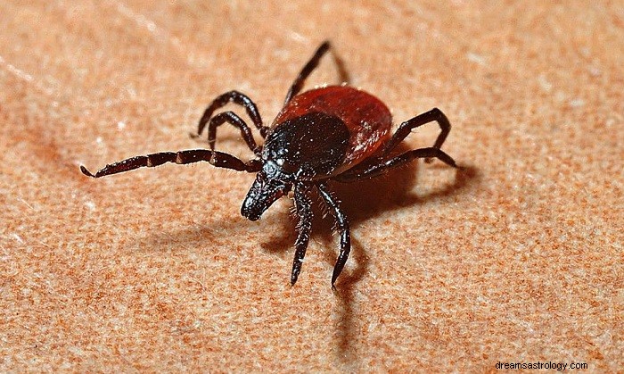 Co znamená ticks ve vašem snu:Symbolismus a interpretace 