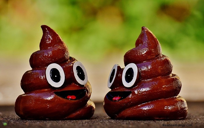 Výklad snů o hovínku a výkalech:co doopravdy znamenají 