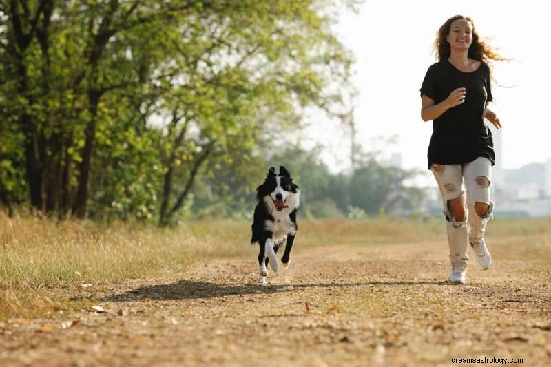 Co to znamená, když kojot zaútočí na psa ve vašem snu:Duchovní postřehy 