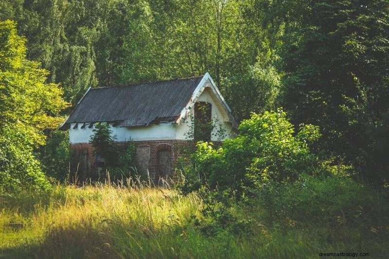 Duchovní význam za sny o vašem dětském domově 