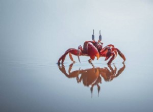 Unveiling the Cancer Zodiac Symbol: Why It Resembles  69  and Its Astrological Significance