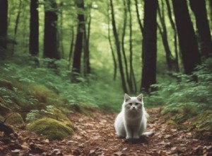 How to Reunite with a Lost Pet: Proven Techniques and Intentional Guidance