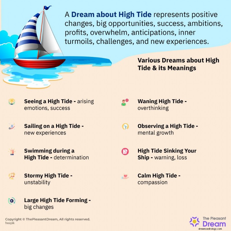High Tide Dreams:Co prozrazují o úspěchu a růstu 