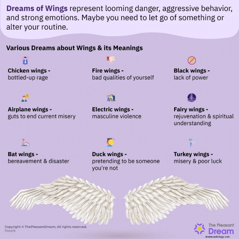 Dreams of Wings:Odemykání prosperity, léčení a nebojácného sebevyjádření 