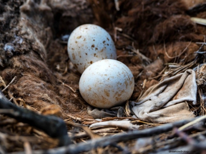 Snění o orlovi:Odemknutí symbolického významu a vedení 