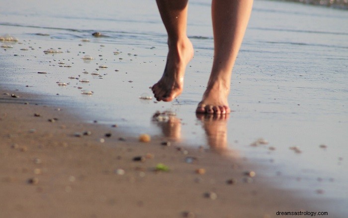 Barefoot Dreams:Interpretace svobody, chudoby a spojení přírody 