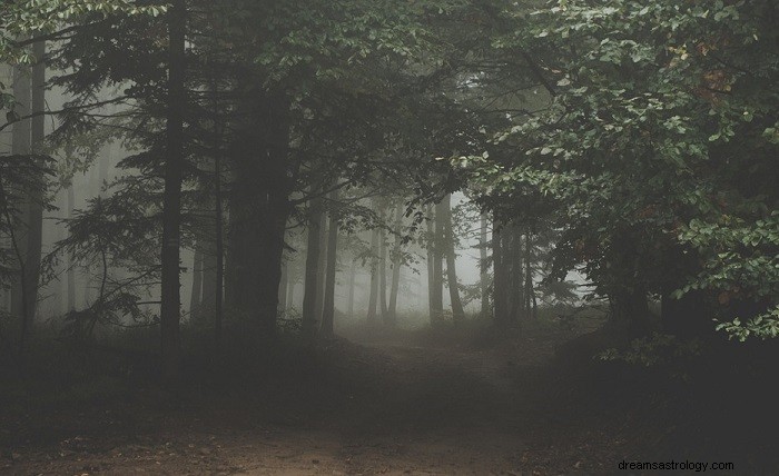 Zkoumání temnoty ve snech:Význam, symbolismus a psychologické postřehy 
