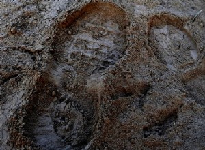 Unraveling the Symbolism of Mud in Dreams: What It Reveals About Your Inner World