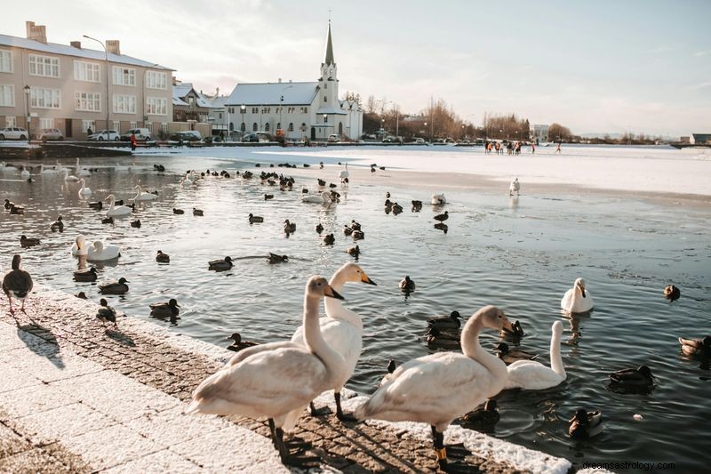 Váš cestovní průvodce 2025:Nejlepší destinace pro každé z 12 znamení zvěrokruhu 
