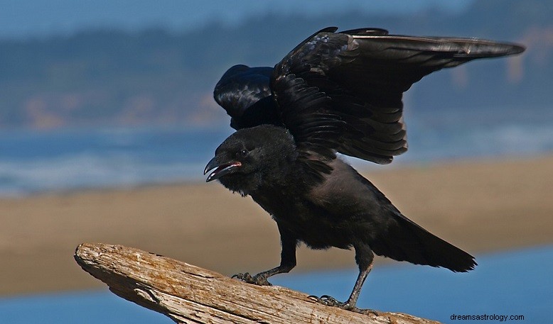Odhalení tajemství Crow Dreams:Symbolismus a interpretace 